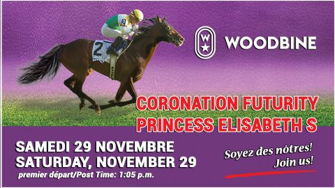 PRINCESS ELISABETH S.