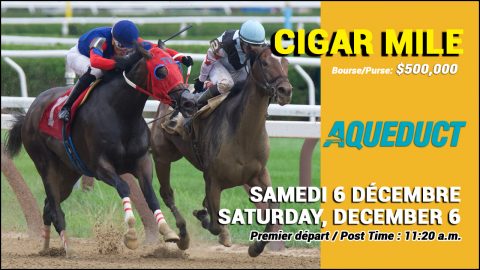CIGAR MILE STAKES