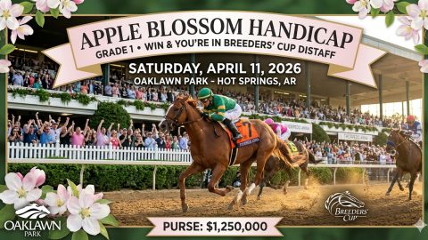 APPLE BLOSSOM HANDICAP