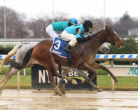 Schwartz living his New York racing dream with Brooklyn Strong