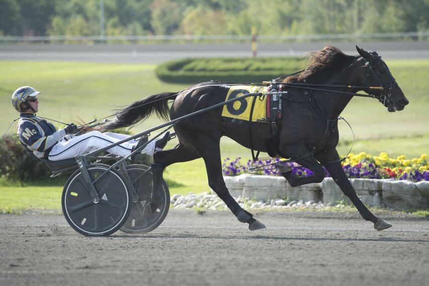 Hambletonian champ Forbidden Trade faces tough test in Maxie Lee