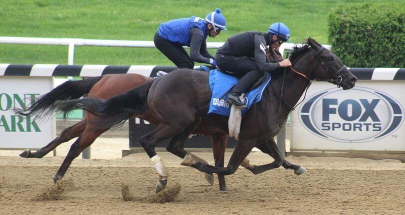 Rebel’s Romance works in company for G1 Belmont Stakes