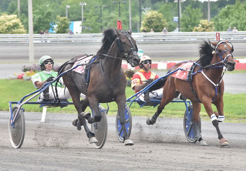 Tough Preferred Trot at H3R Sunday