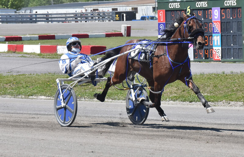 2YOs luminate race card at Hippodrome 3R