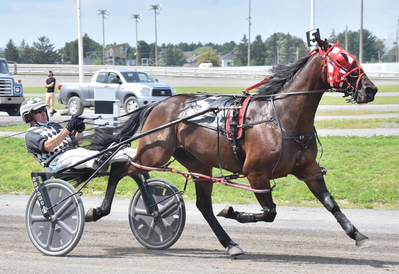 Littlebitaswagger romps in 1:54.1