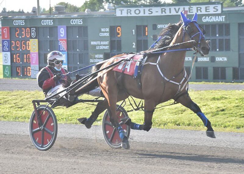 Unbeaten Stella Alpha keeps on trotting