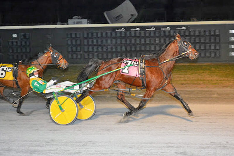 ‘Shadow’ hopes to emerge a millionaire from Roll With Joe
