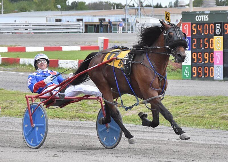 Stakes colts & fillies own spotlight at H3R