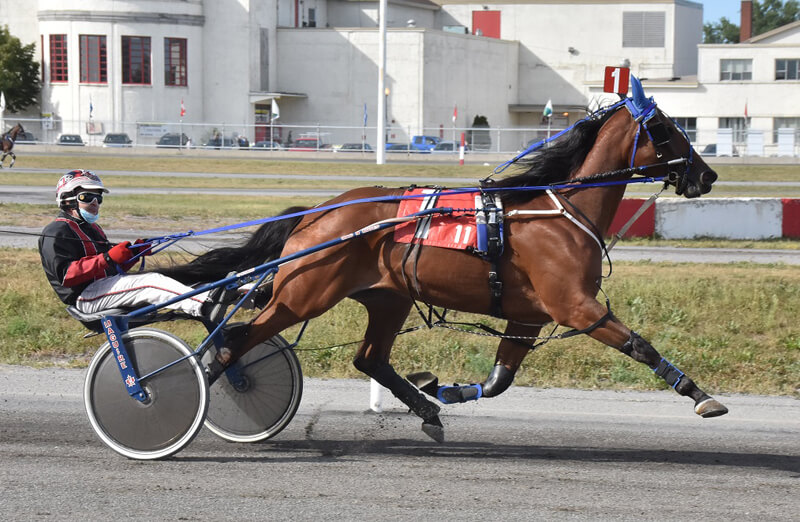 Favorites romp in Future Stars Series