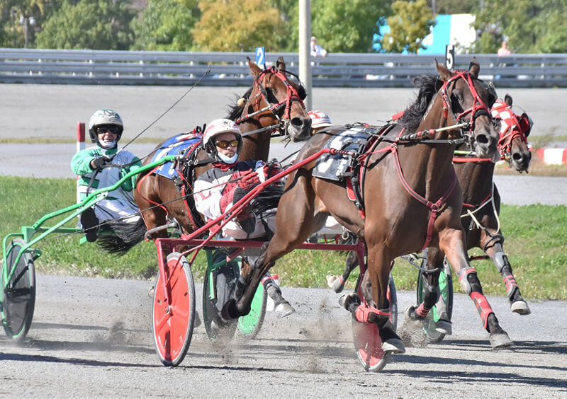 Wild River Swan wins wild Preferred Pace