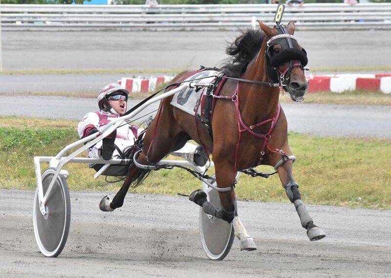Kiss Me Bad, Queen of the mares at H3R