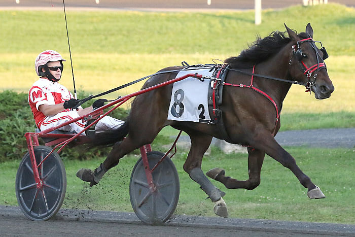 Bax hopes Duly Resolved a Wellwood success