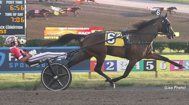 Manchego seeks first Maple Leaf Trot title