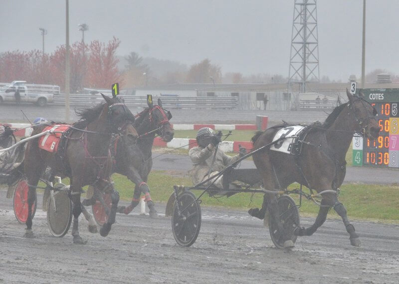 Fancy Girl goes coast-to-coast over sloppy track