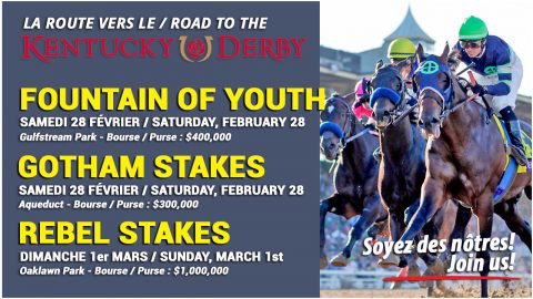 ROAD TO THE KENTUCKY DERBY